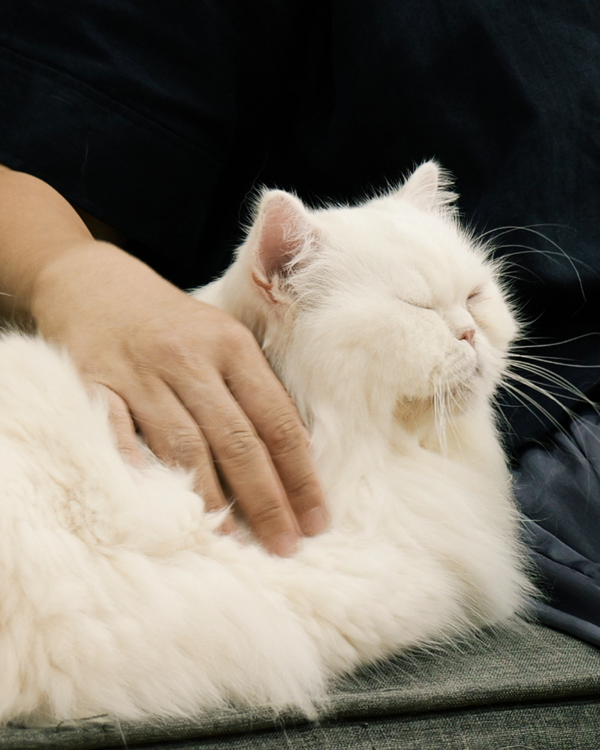 Story | 04 푸드 콘텐츠 디렉터 김혜준