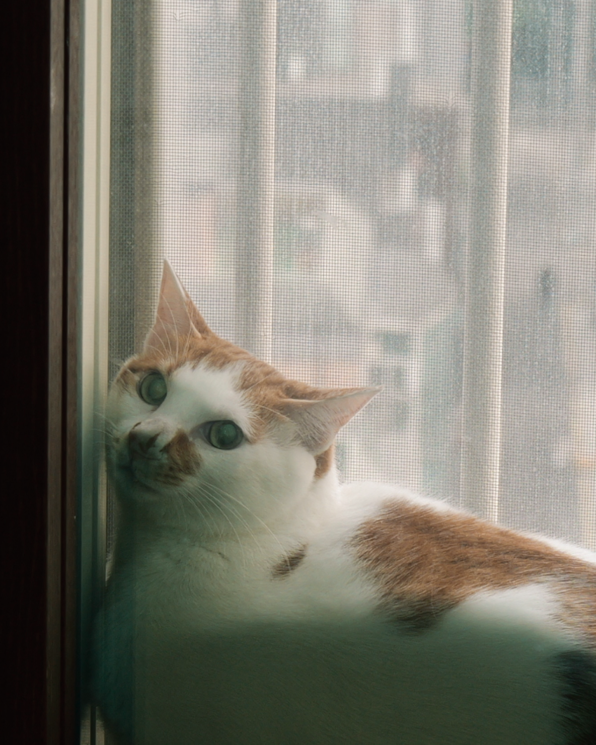 Story | 04 푸드 콘텐츠 디렉터 김혜준