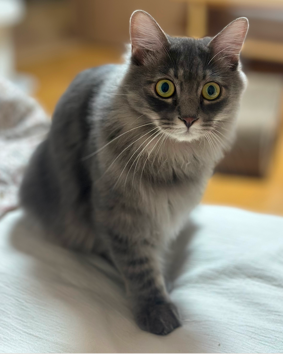 Story | 04 푸드 콘텐츠 디렉터 김혜준